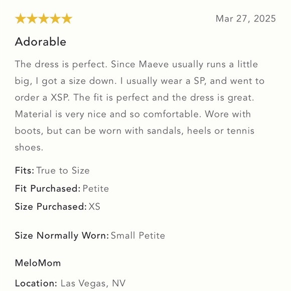 NWT Anthropologie Maeve Size Small Sleeveless V-Neck Mini Swing Dress - Picture 5 of 10